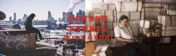 индика Красноперекопск