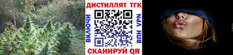где купить наркоту  Кингисепп  ТГК жижа 