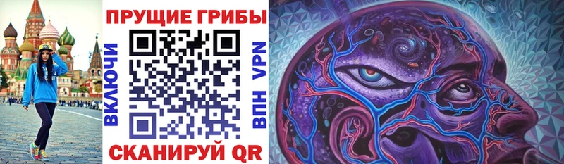 Галлюциногенные грибы Magic Shrooms закладка Кингисепп