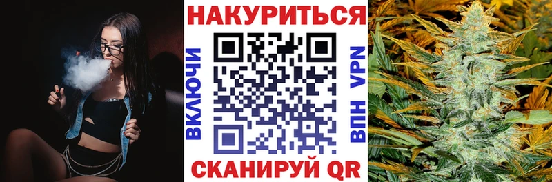 МЕГА как зайти  что такое наркотик  Кингисепп  Каннабис White Widow 